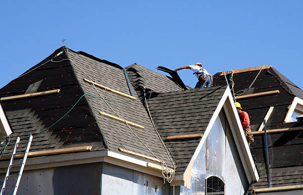 Best Gutter Installation and Roofing  in Rio Grande City, TX