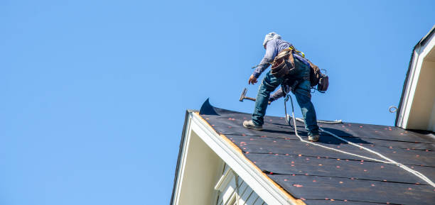 Best Storm Damage Roof Repair  in Rio Grande City, TX